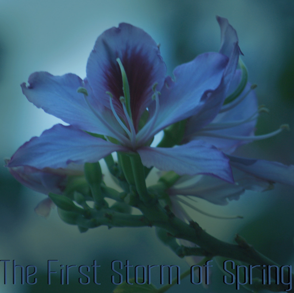 The First Storm of Spring